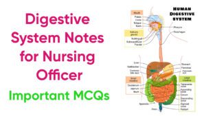 Digestive System Notes for Nursing Officer